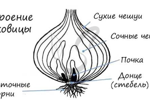 Кракен шоп интернет магазин